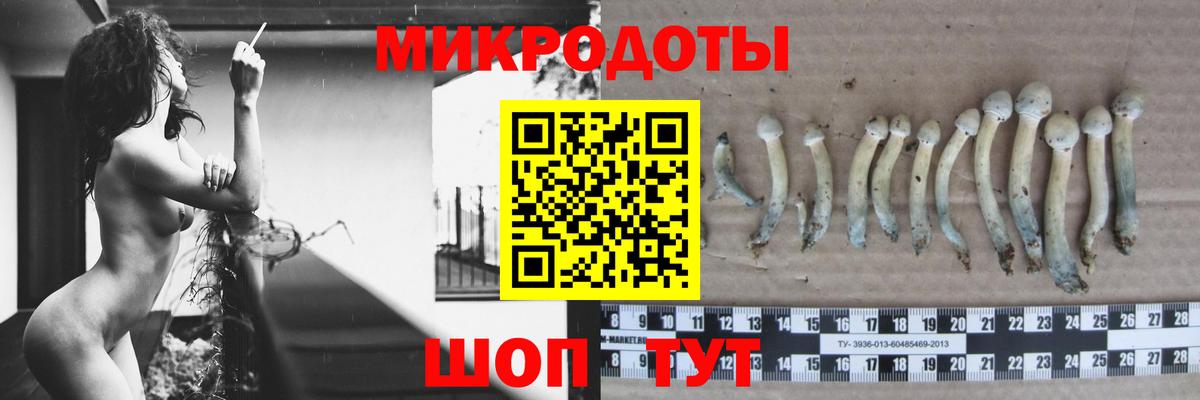 ГАШИШ Людиново